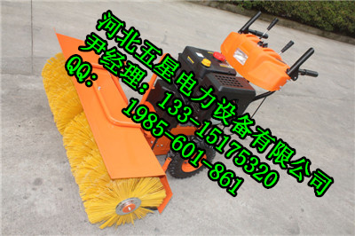 칝(ji)ѩ-Ӱ݆ʽѩC-ƤӳѩCS 
PI: