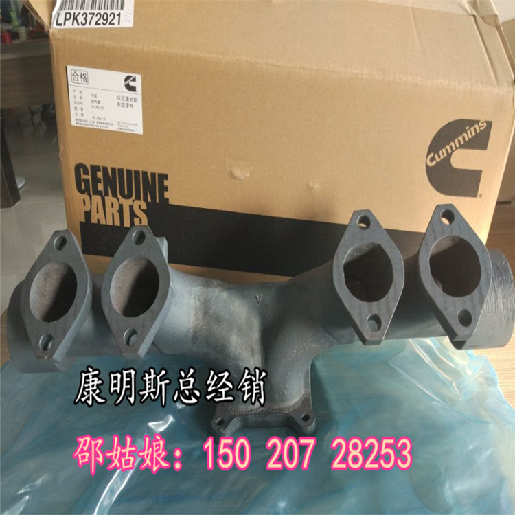 IMOTierIIÙCM60Hz)U4098953 
P(gun)I: