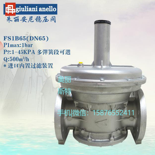 (ni)^VFS1B65{(dio)ygiuliani 
P(gun)I: