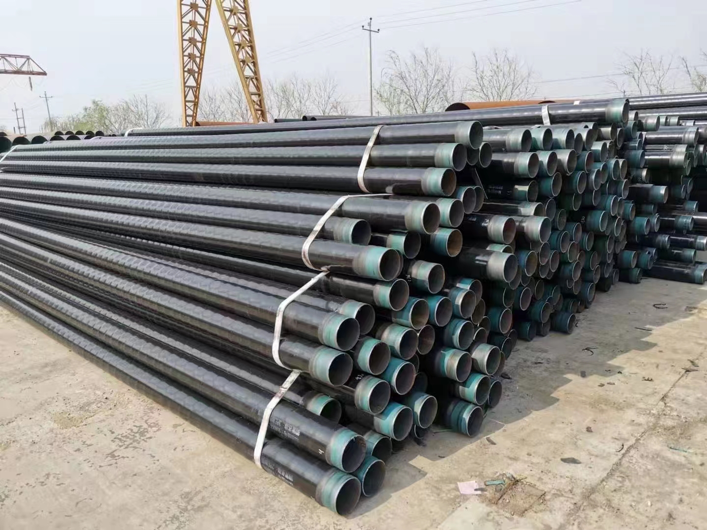 CL360NPSL2op䓹 
P(gun)I: