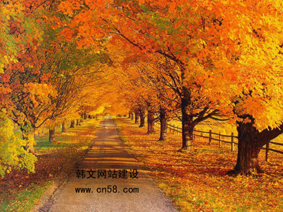 nZW(wng)վ-nW(wng) 
PI:
