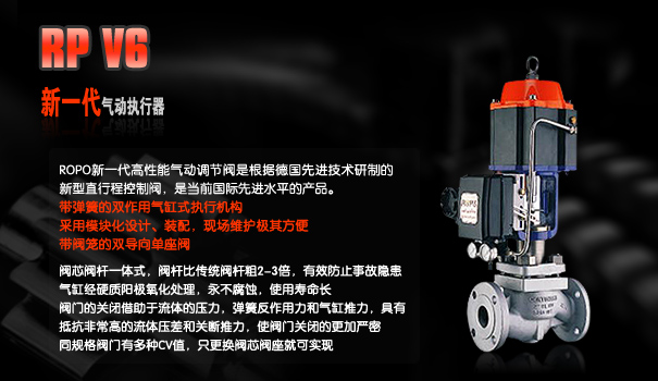 _ROPO늄ӈ(zh) 
P(gun)I: