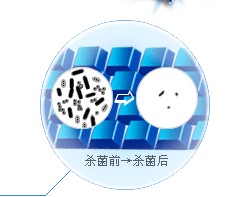 (yng)IPIP I IP坍̴ 
P(gun)I: