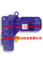(gu)BAUER늙C(j)BAUERpٙC(j)BAUER(dng)늙C(j) 
P(gun)I: