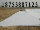 㽭ˮͺĤ픾Gˮ 
PI: