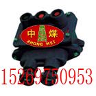 BZA10-123VøͿưŤ 
P(gun)I: