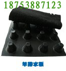 ϊAӰˮĤɾ^ӵBĤ 
PI: