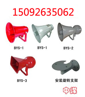 (yng)BYS-1ͷP 
P(gun)I:2011-01-03