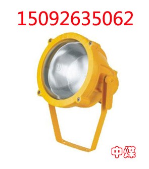 DGC175ͶͶ 
P(gun)I: