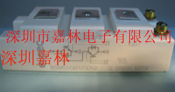 BSM50GB120DN2BSM75GB120DN2 
P(gun)I: