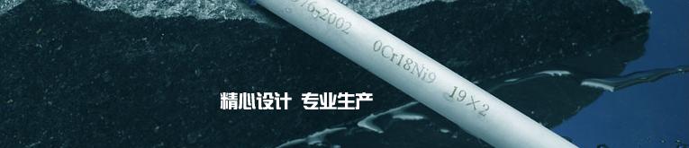 (yng)304316LP䓹N 
P(gun)I: