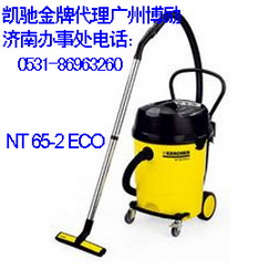 PYmˮCNT 65/2 Eco 
P(gun)I: