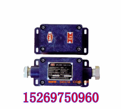 (yng)GFKVL(fng)T_(ki)]B(ti) 
P(gun)I:
