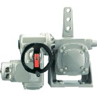 (gu)Wauma(zh) 
P(gun)I: