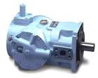 (gu)DENISONQy 
P(gun)I: