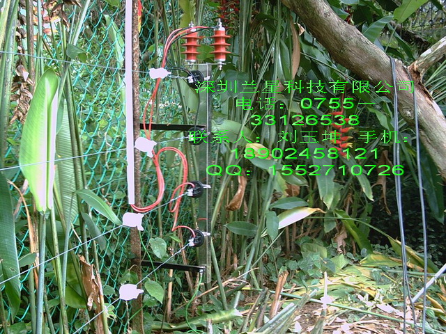 (chng)Ӈ|(chng)Ӈڰb|(chng)Ӈڈ(bo)r(ji)|(chng)ӇN 
P(gun)I: