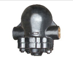 Ӣspirax sarcoFT14H-10ˮy 
P(gun)I: