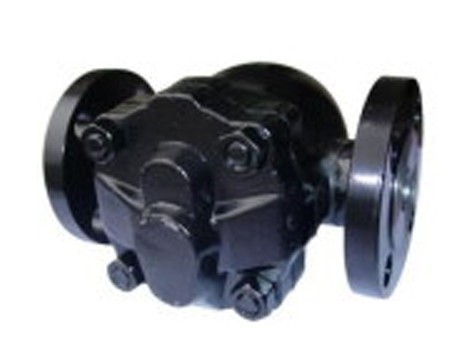 Ӣ(gu)spirax sarcoFT44Hˮy 
P(gun)I: