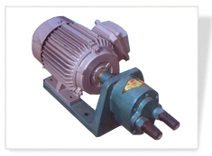SX݆ 
P(gun)I: