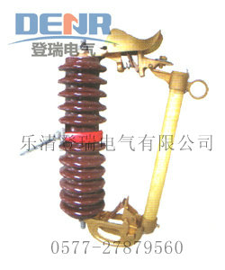 RW3-10/100ARW3-10/200A(h)ʽ۔ 
P(gun)I: