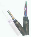 (yng)F·̖|-PTY22PTY23PTYA(D) 
P(gun)I: