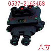 BZA10-123VøͿưŤ 
P(gun)I: