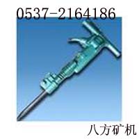 (yng)|(zh)õLB67C 
P(gun)I: