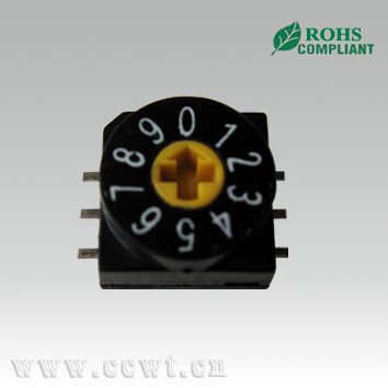 D(zhun)DIP_P 
PI: