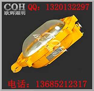 (ni)ۉmBFC8920 
PI: