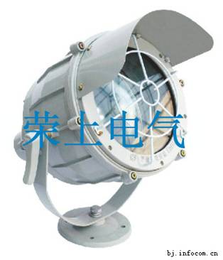 BAD5050BAT51Ͷ 
P(gun)I: