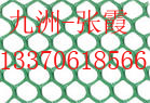 ݹW(wng)SW(wng)|ֲݴVϸ 
PI: