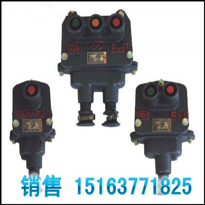 BZA10-123VøͿưŤ 
P(gun)I: