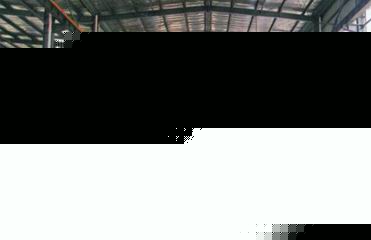 ͿCqq 46913386 
P(gun)I: