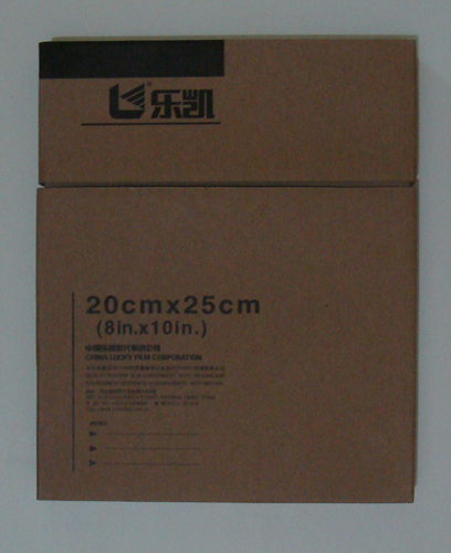 (l)Pt(y)XzƬ 
P(gun)I:2011-10-21