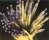 (gu)˼_(d)YST160Ͻ䓎ˮl 
P(gun)I: