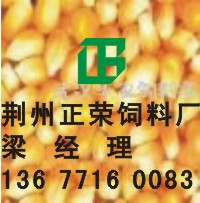 sF(xin)ُ(gu)׸СͿDDGSƤɵ 
P(gun)I:2012-02-08