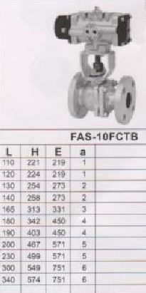 FA-10FCTB(dng)y 
P(gun)I: