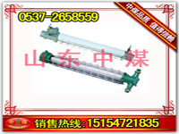 DGSϵеVV 
P(gun)I: