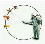 BT˼^(q)Ƶe^x(w)r(ji)-BTG 
P(gun)I: