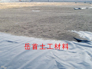 (yng)(bio)0.2mm--2.0mm}(chng)}Ĥ 
P(gun)I: