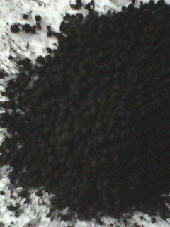 2012̓r̿C(j) C(j)еMډ۹ꏊ(qing) 
P(gun)I: