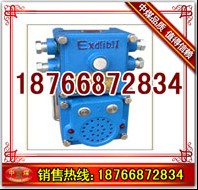 KXJ0.5/127Vü̖(ho) 
P(gun)I: