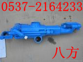 YT29ʽ菎rC 
PI: