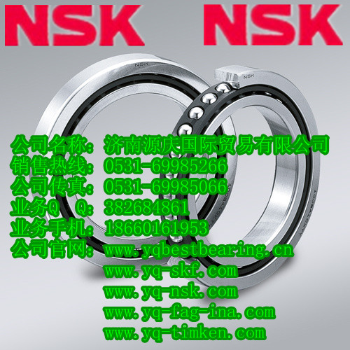 160BAR10STYNDBLP4A NSKǽ|S NSKSЬF؛ 
PI: