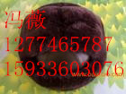 (yu)|(zh)ȫñ?ȫ(yng)-ȫñҎ(gu)-MADE  IN  WUXING 
P(gun)I: