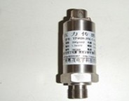 {߉׃}YP4011-300M 
PI: