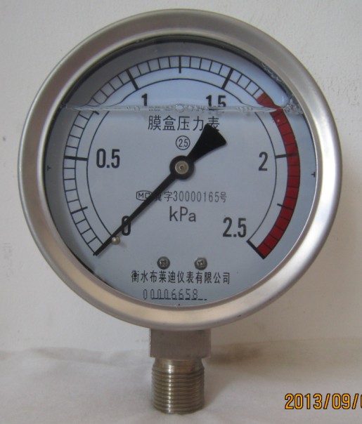 YE100PĤЉ25Kpa 
P(gun)I: