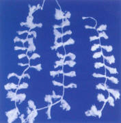 ܛwSI(y)a(chn)Sҡκͭh(hun)޹˾ 
P(gun)I: