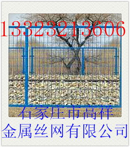ٝ顿ƽ˻za(chn)S ƽ˻zu 
PI: