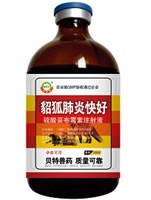 ؐء|кˎa(chn)S ˎr(yu) 
P(gun)I: